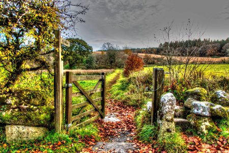 Dartmoor