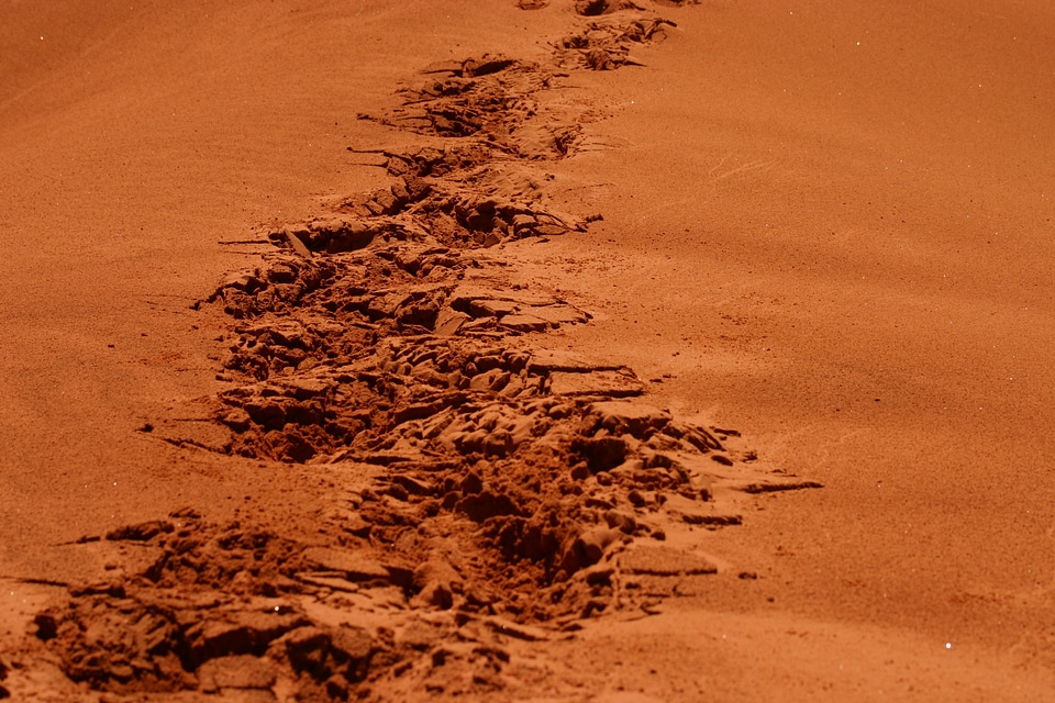Footsteps sand orange sand