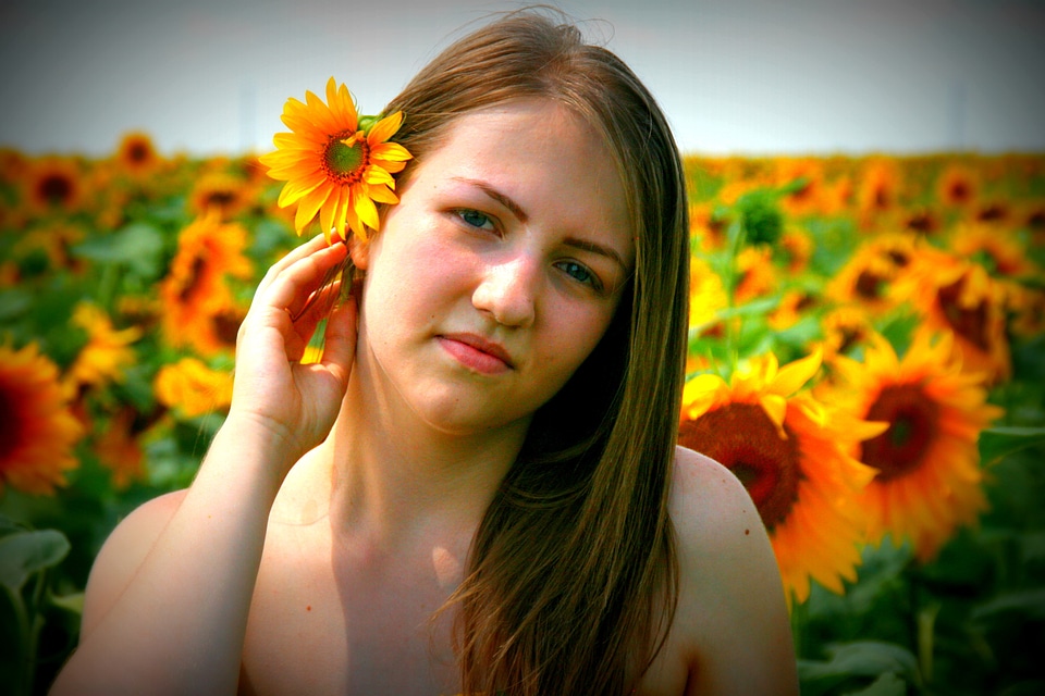 Sunflower girl yellow photo