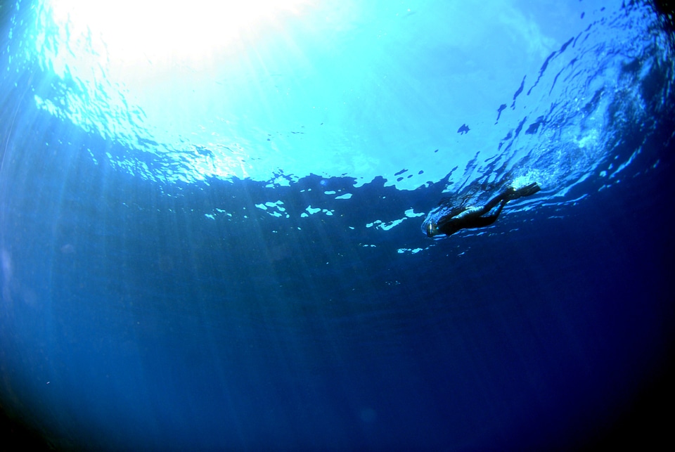 Underwater sea scuba
