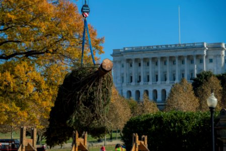20191125-FS-WashingtonDC-TEF-023