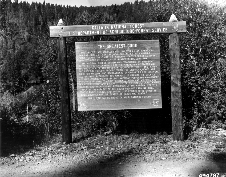 196008XX-FS-Beaverhead-WWG-494787
