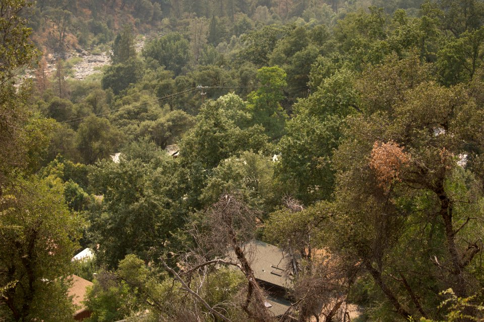 20180725-fs-sierra-kg-0560