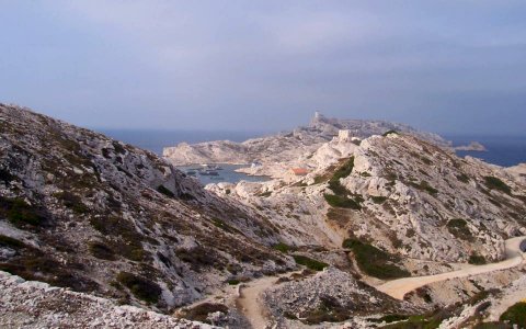 Ile du Frioul (2)