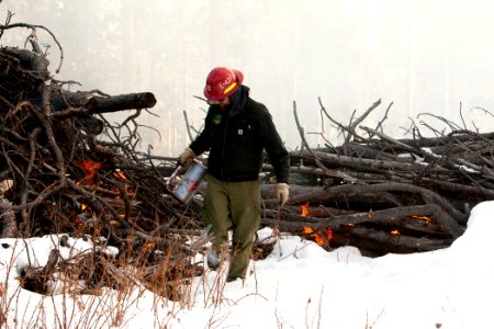 Pile Burning on Hell Canyon Ranger District photo