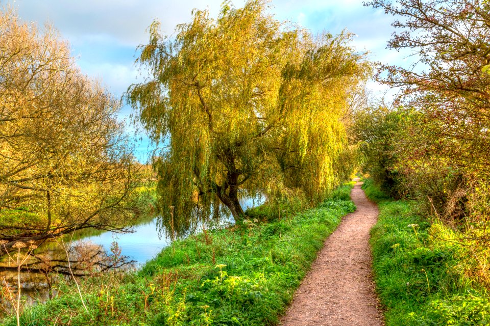 Budleigh Salteron