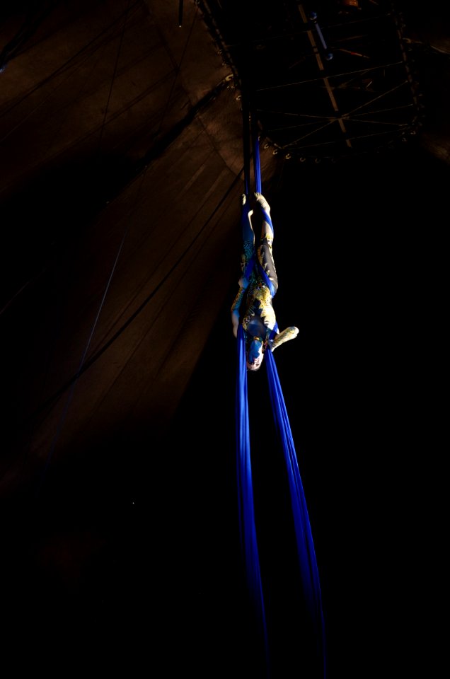 Zirkus 7