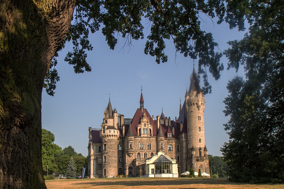 Silesia moszna neorenesans