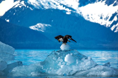 170219-FS-Tongass-CC-007
