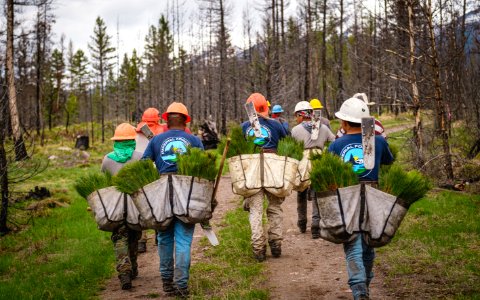 Reforestation-Lolo-May2020-001 photo