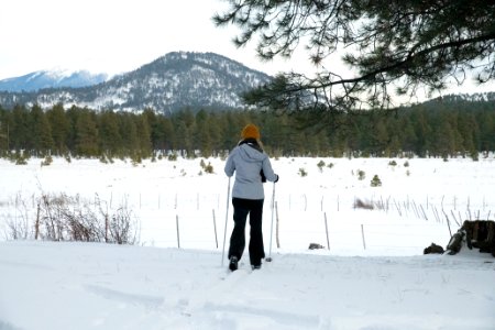 20181204-fs-kaibab-lsc-0834 33272429228 o