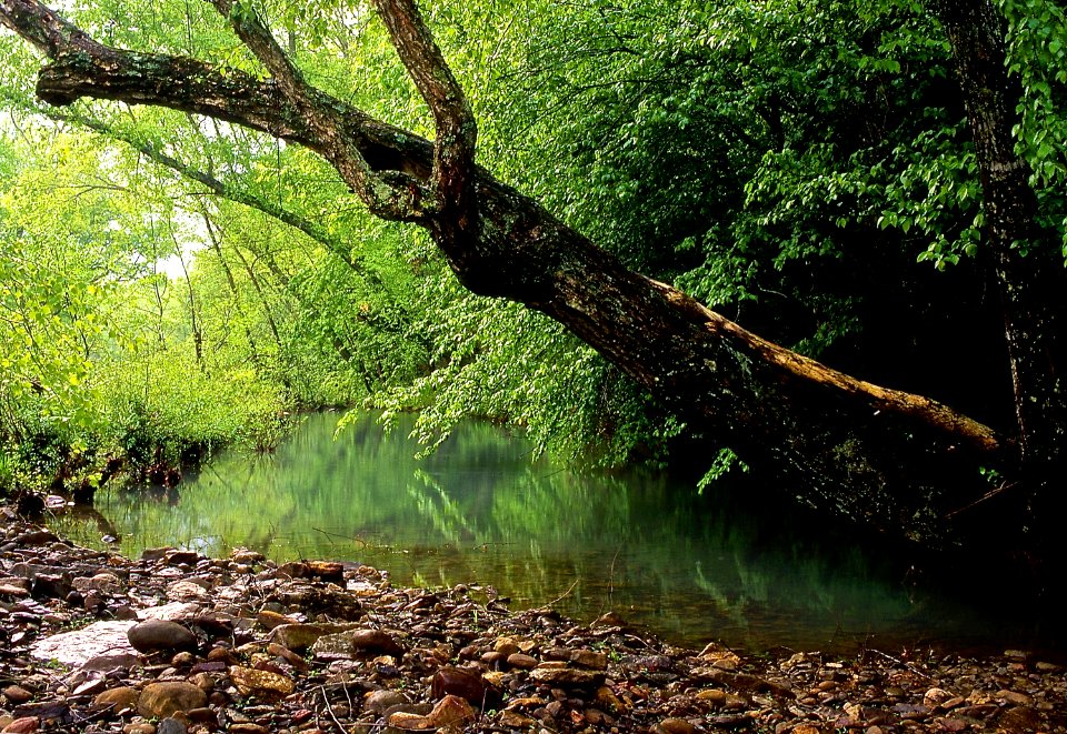 2005XXXX-FS-Ozark-St. Francis National Forest-Mulberry R-TP-001