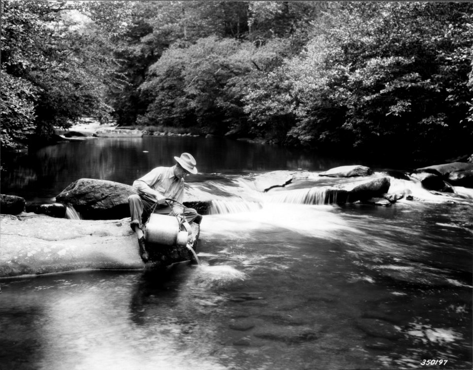1937XXXX-FS-Pisgah-BWM-350197