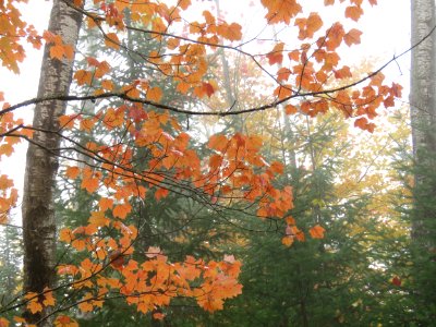 20181003-FS-Superior-SAR-003