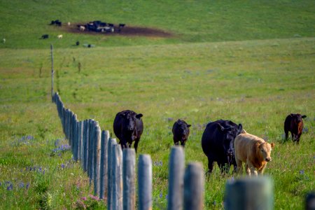 20180710-FS-Beaverhead-PJK-3758