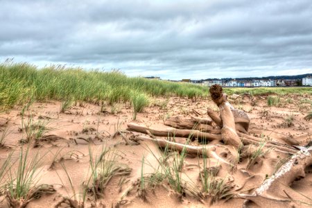 Dawlish photo