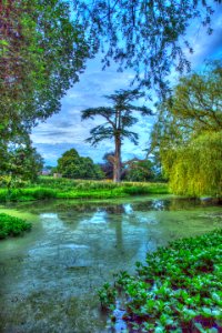 Killerton