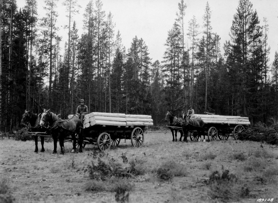 19240812-FS-Montana-KDS-189108