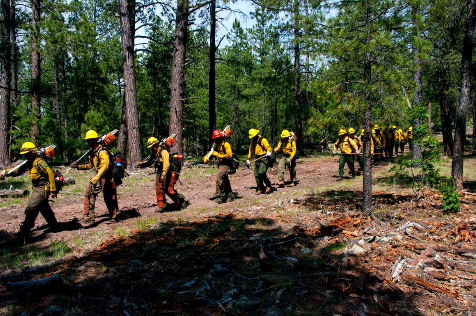 20150624-FS-Coconino-DLS-002