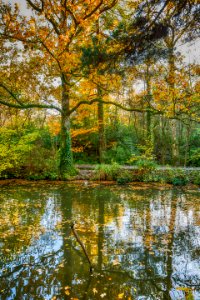 Stover, Devon