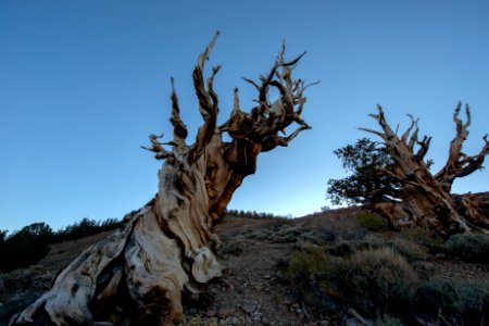 20181019-FS-Inyo-CMR-003