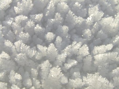 śnieg