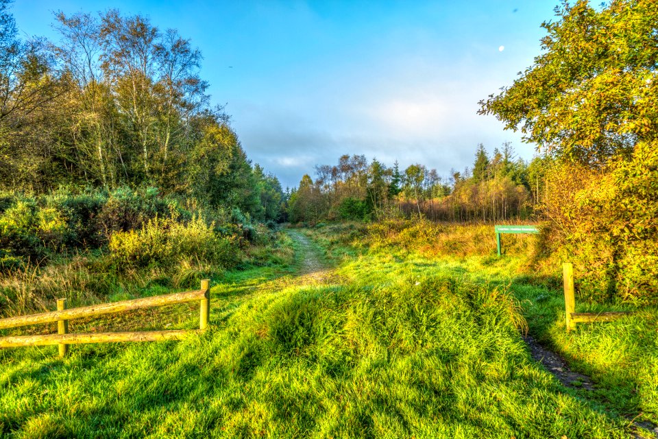 Haldon, Devon