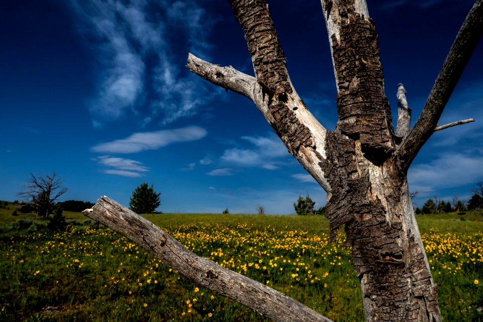 20180710-FS-Beaverhead-PJK-2461