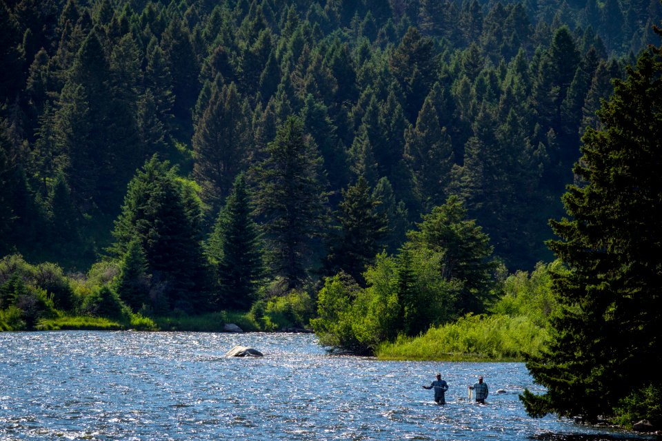 20180710-FS-Beaverhead-PJK-5325