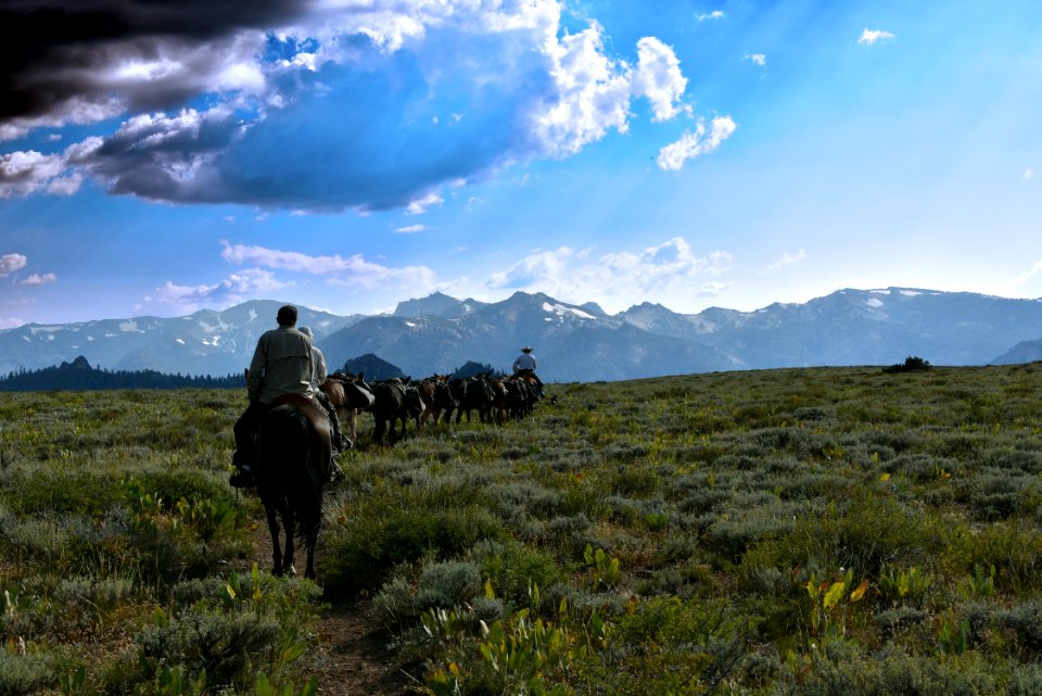 170823-FS-Humboldt-Toiyabe-JB-001