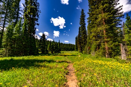 20180613-FS-BridgerTeton-WP-045