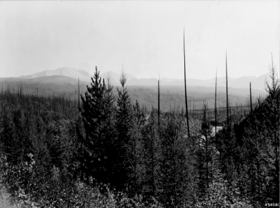 194307XX-FS-Bitterroot-KDS-434481