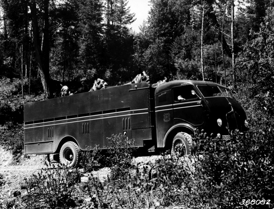 1937XXXX-FS-Montana-RAO-368082