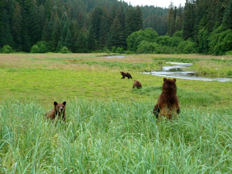 20110728-fs-tongass-packcreek-020 14275012308 o