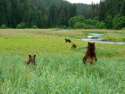 20110728-fs-tongass-packcreek-020 14275012308 o