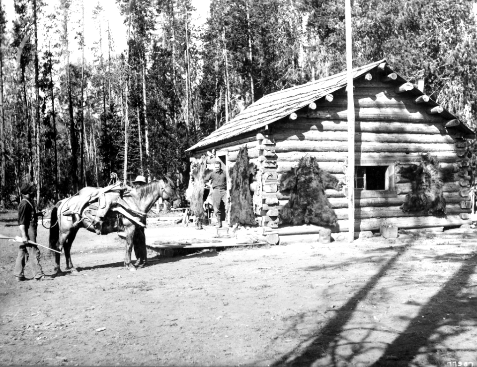 1908XXXX-FS-Wallowa-WJL-77987