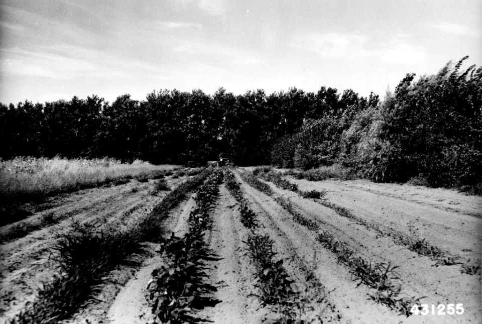 19440902-FS-Texas-JHS-431255