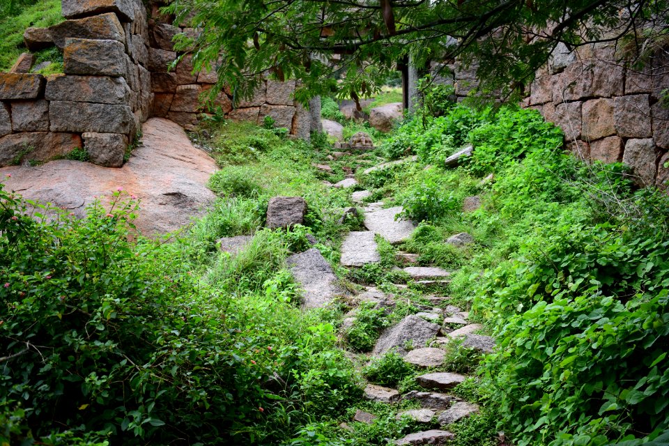 Nijagal hills Karnataka