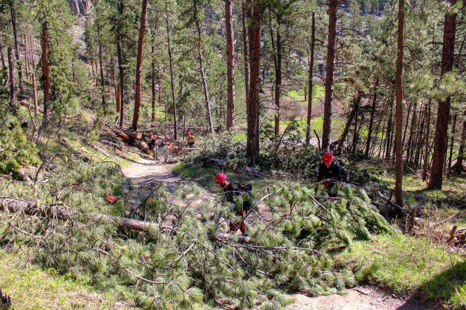 Tatanka Hotshots Cut Trees off of Centennial Trail