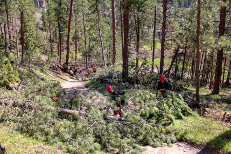 Tatanka Hotshots Cut Trees off of Centennial Trail photo
