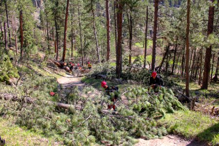 Tatanka Hotshots Cut Trees off of Centennial Trail