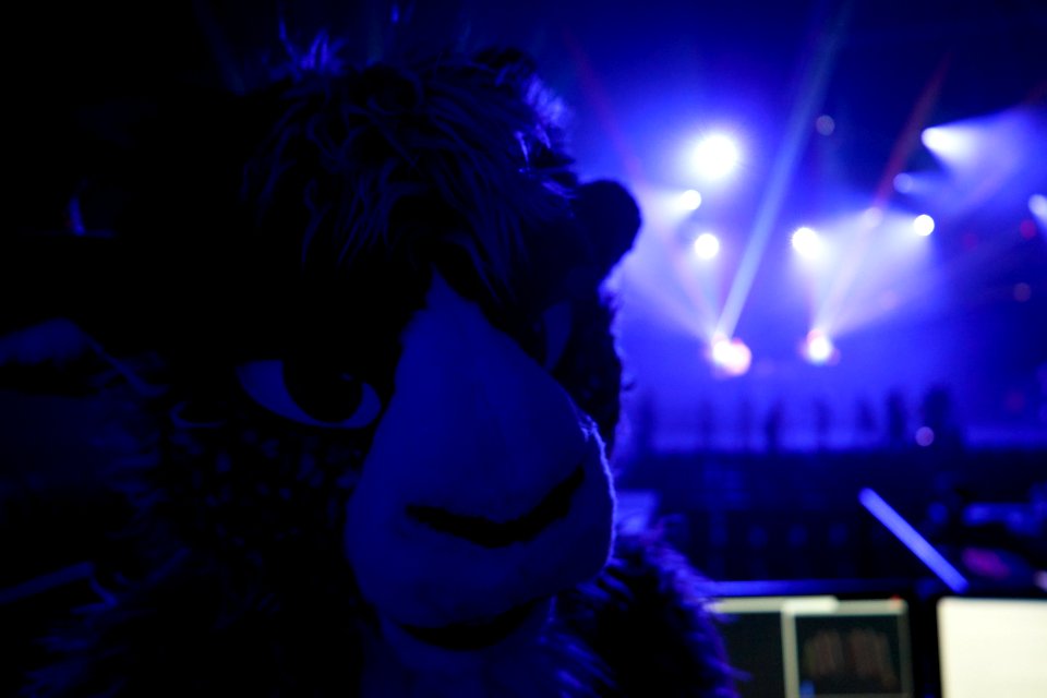 Anthrocon 2016 Dances - Backlit Goat!