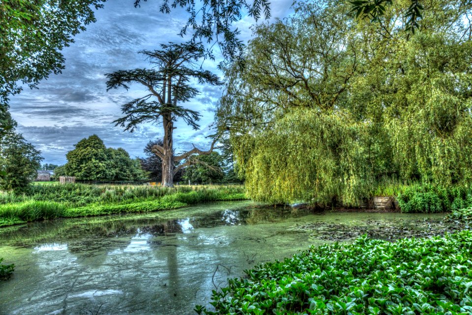 Killerton