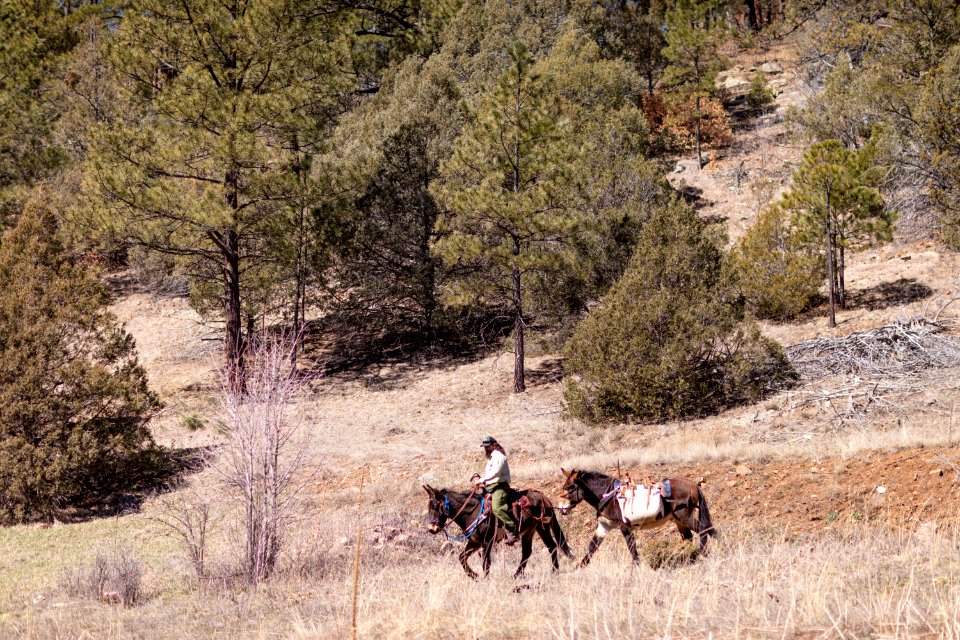 20190328-FS-Pecos-AM-19