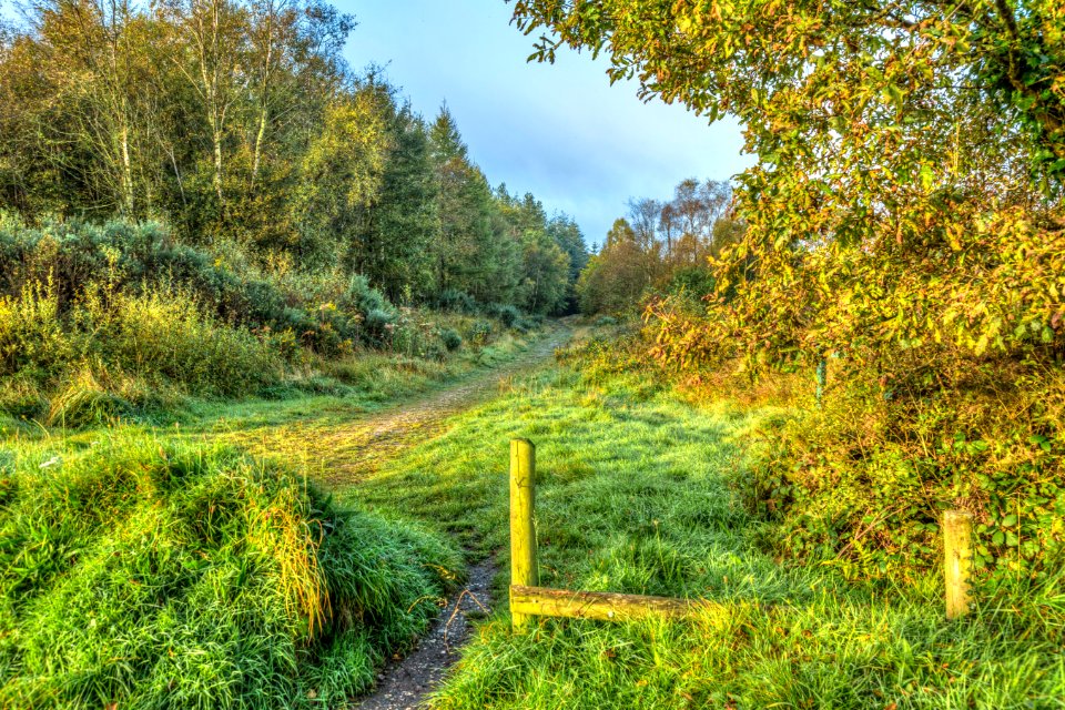 Haldon, Devon