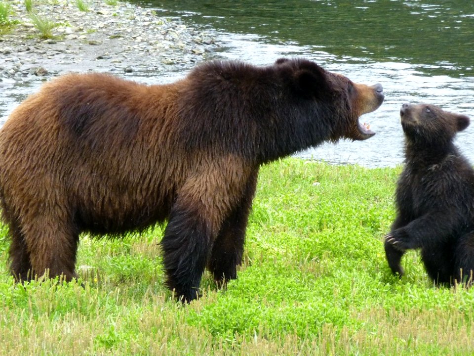 20120712-fs-tongass-packcreek-024 14281235129 o