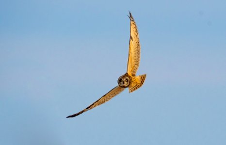 20210101-FS-Midewin-MK-003