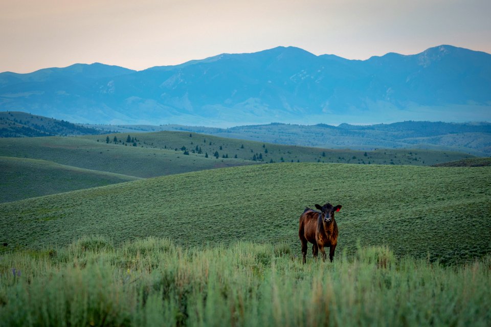 20180710-FS-Beaverhead-PJK-1255