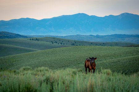 20180710-FS-Beaverhead-PJK-1255
