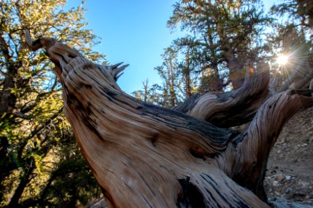 20181019-FS-Inyo-CMR-004